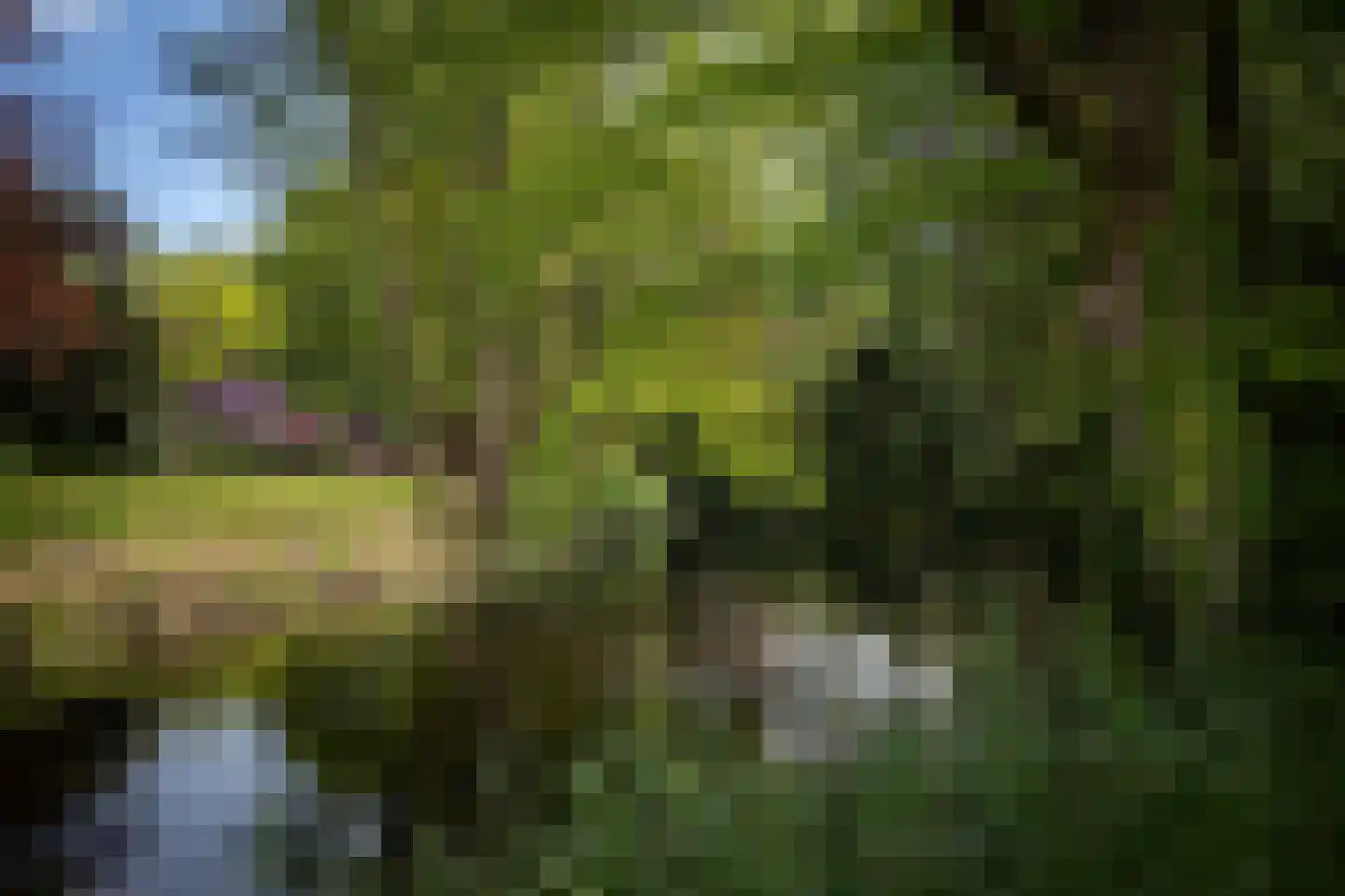 Sallandsweg 9 Diepenveen thumbnail 52