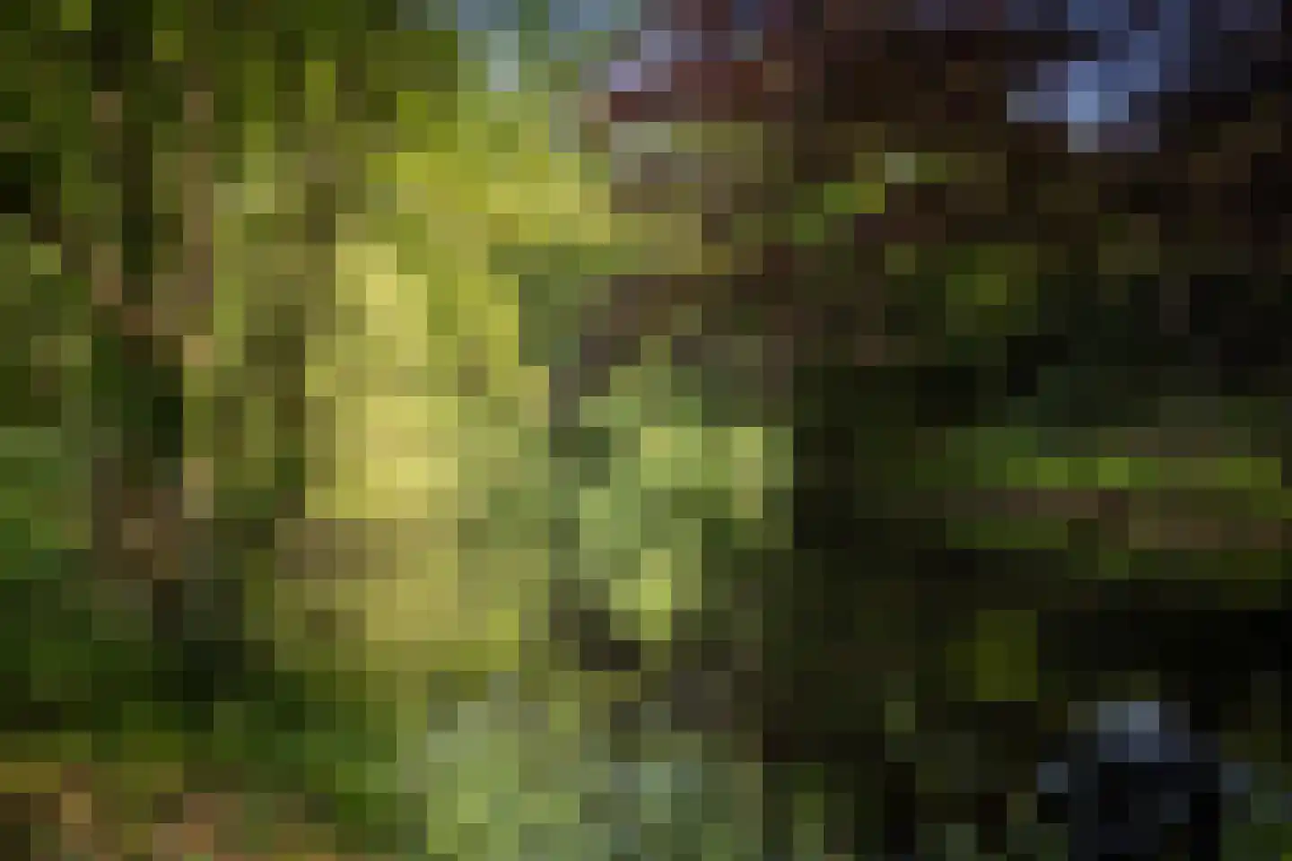 Sallandsweg 9 Diepenveen thumbnail 54