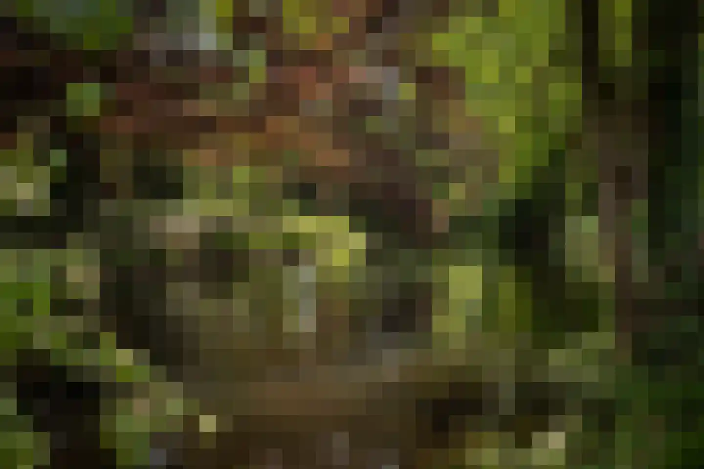 Sallandsweg 9 Diepenveen thumbnail 55