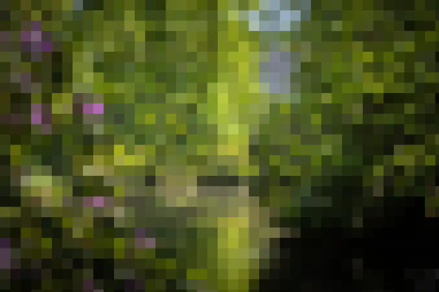 Sallandsweg 9 Diepenveen thumbnail 56