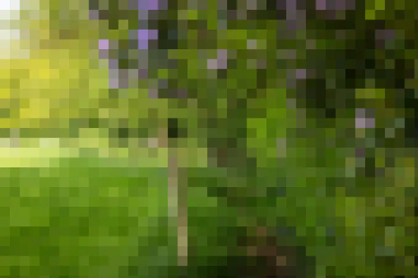 Sallandsweg 9 Diepenveen thumbnail 57