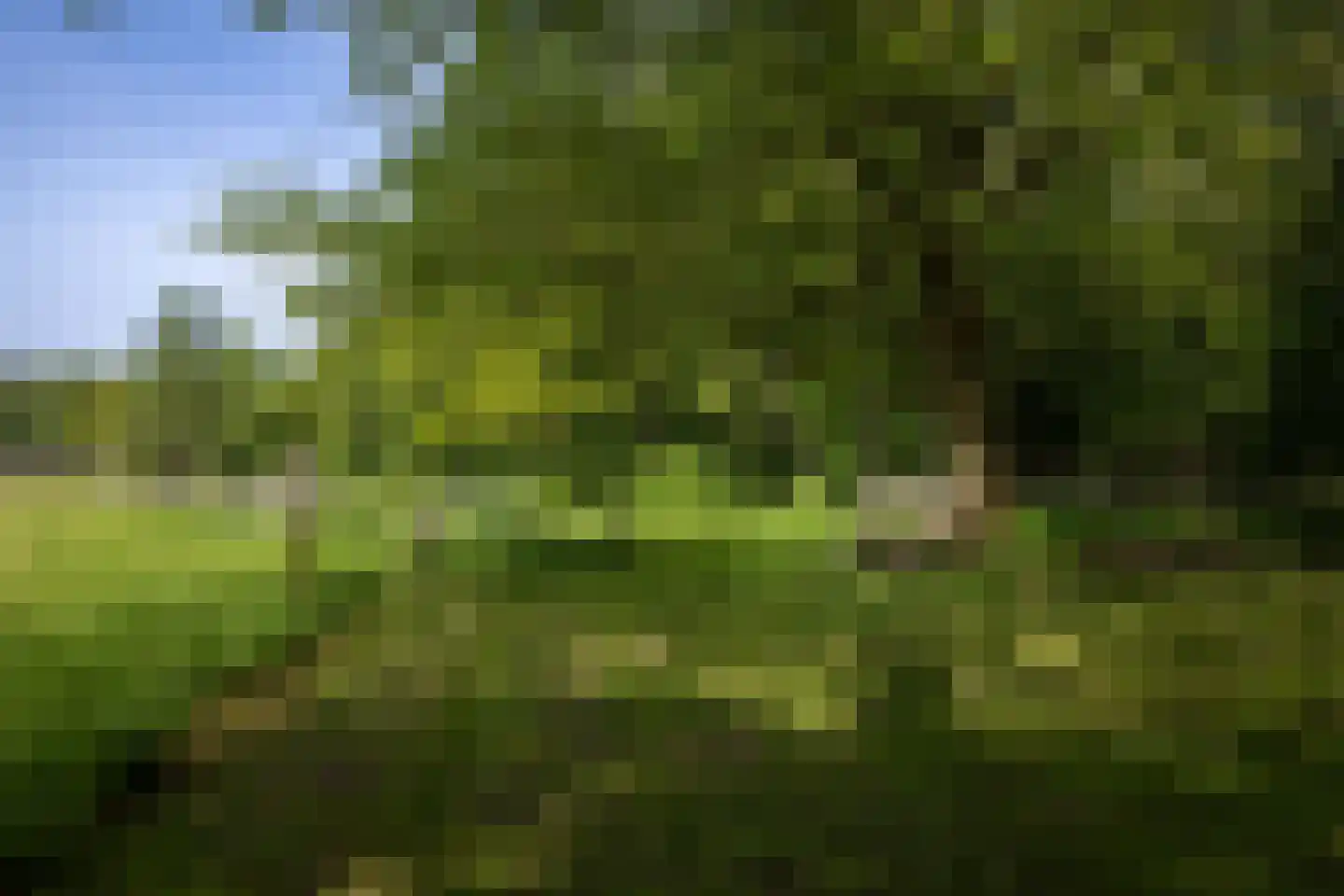 Sallandsweg 9 Diepenveen thumbnail 58