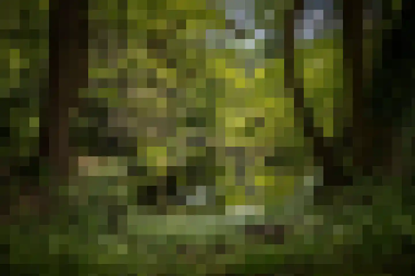 Sallandsweg 9 Diepenveen thumbnail 59