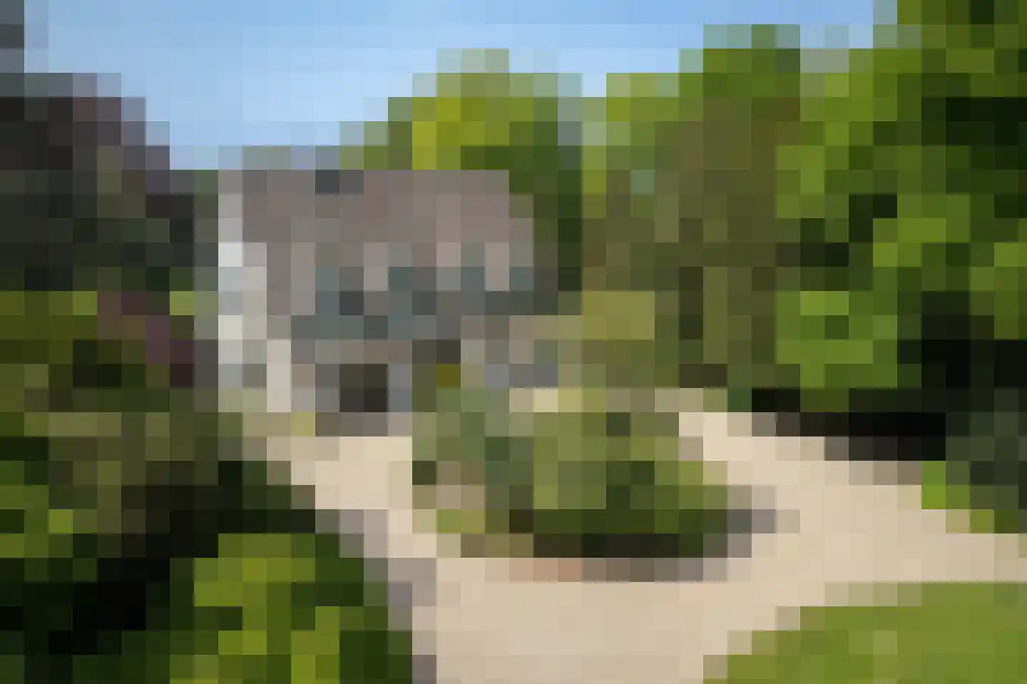 Sallandsweg 9 Diepenveen thumbnail 6