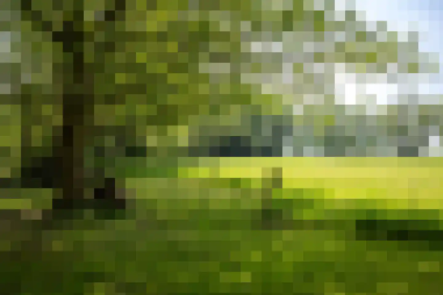 Sallandsweg 9 Diepenveen thumbnail 60