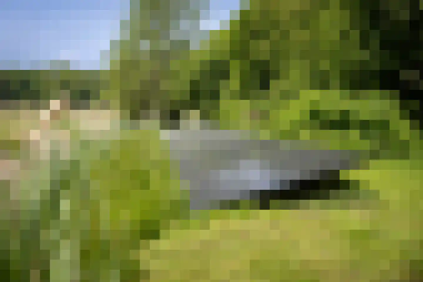 Sallandsweg 9 Diepenveen thumbnail 61