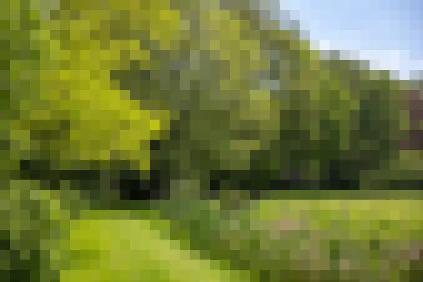 Sallandsweg 9 Diepenveen thumbnail 62