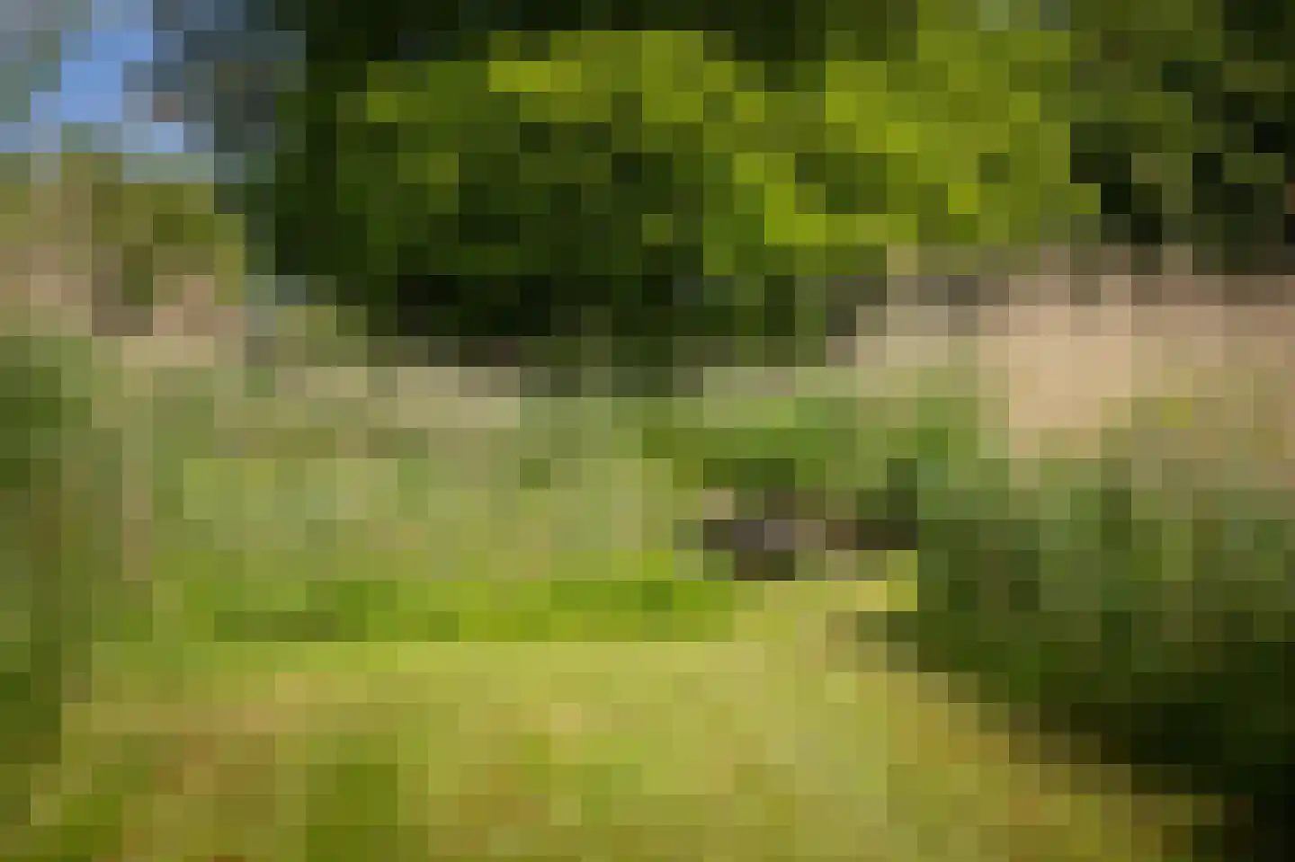 Sallandsweg 9 Diepenveen thumbnail 65