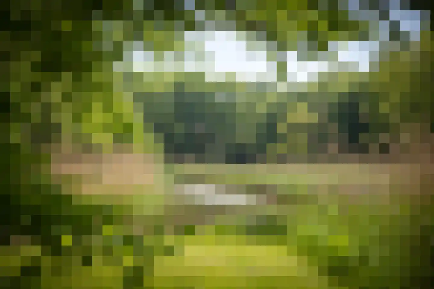 Sallandsweg 9 Diepenveen thumbnail 66