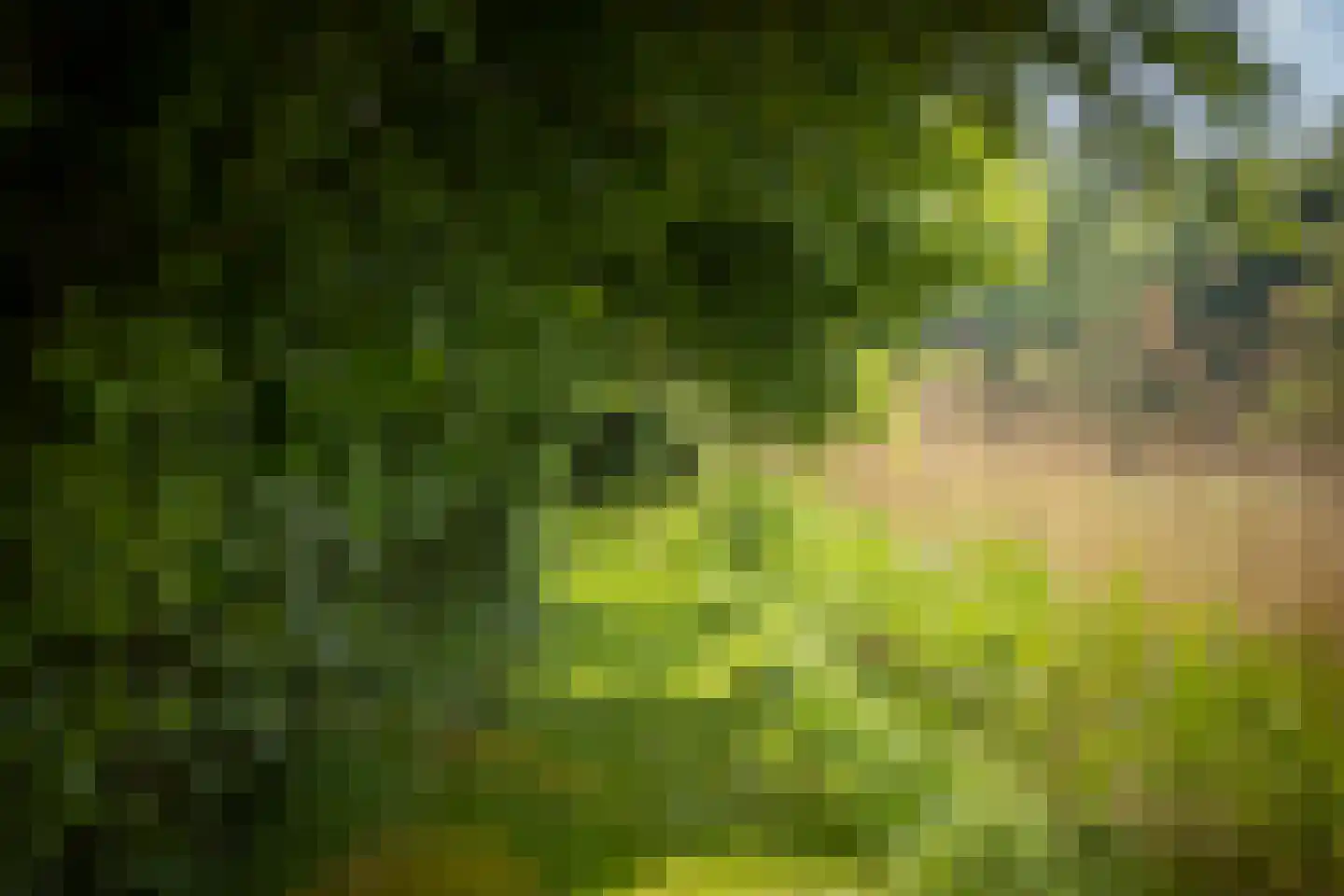 Sallandsweg 9 Diepenveen thumbnail 67