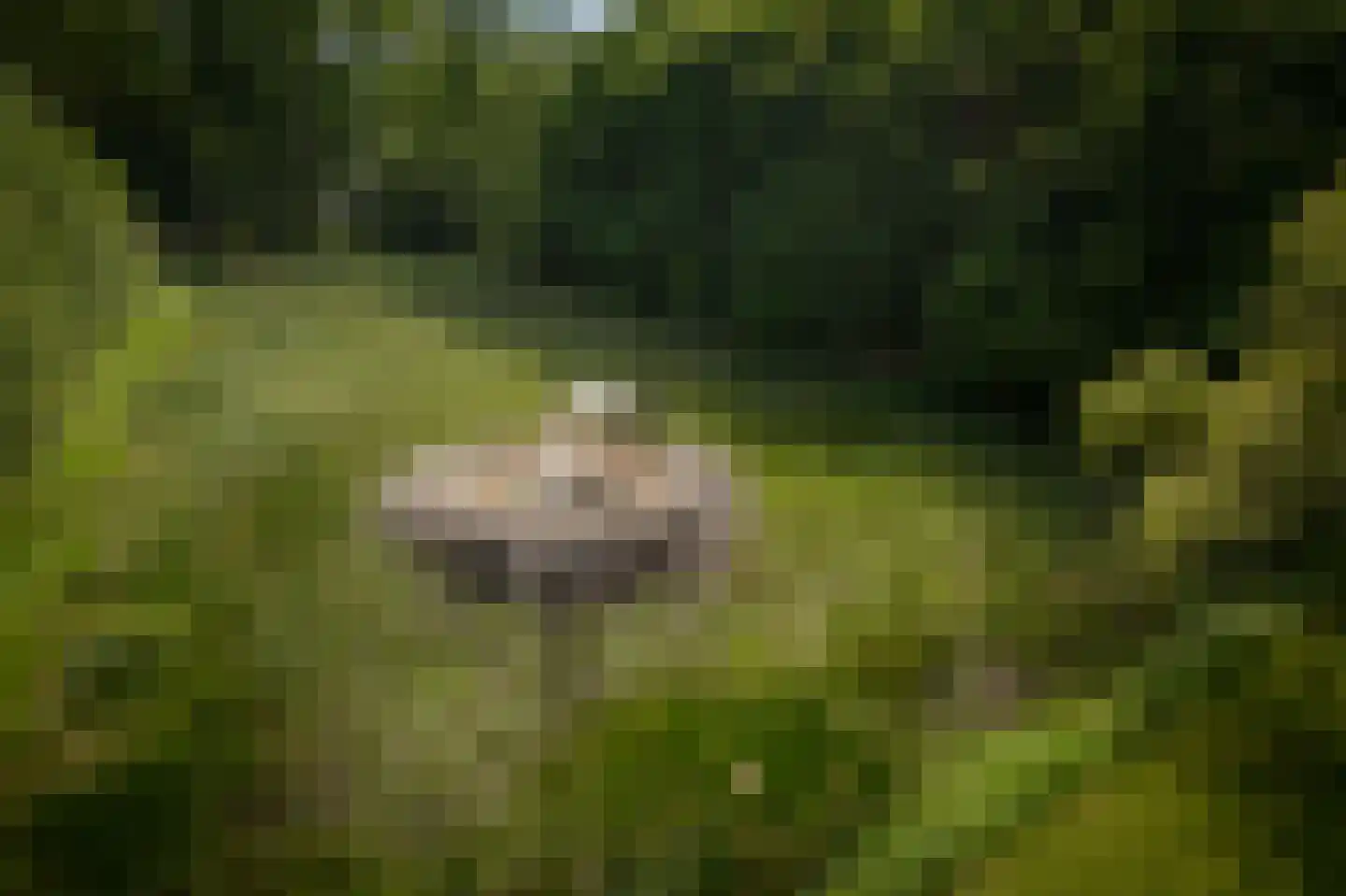 Sallandsweg 9 Diepenveen thumbnail 68