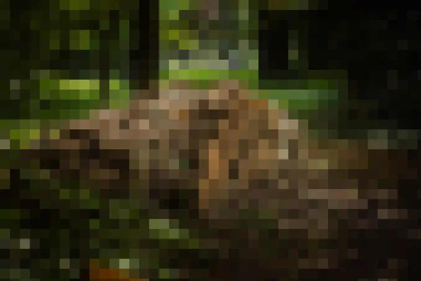 Sallandsweg 9 Diepenveen thumbnail 69