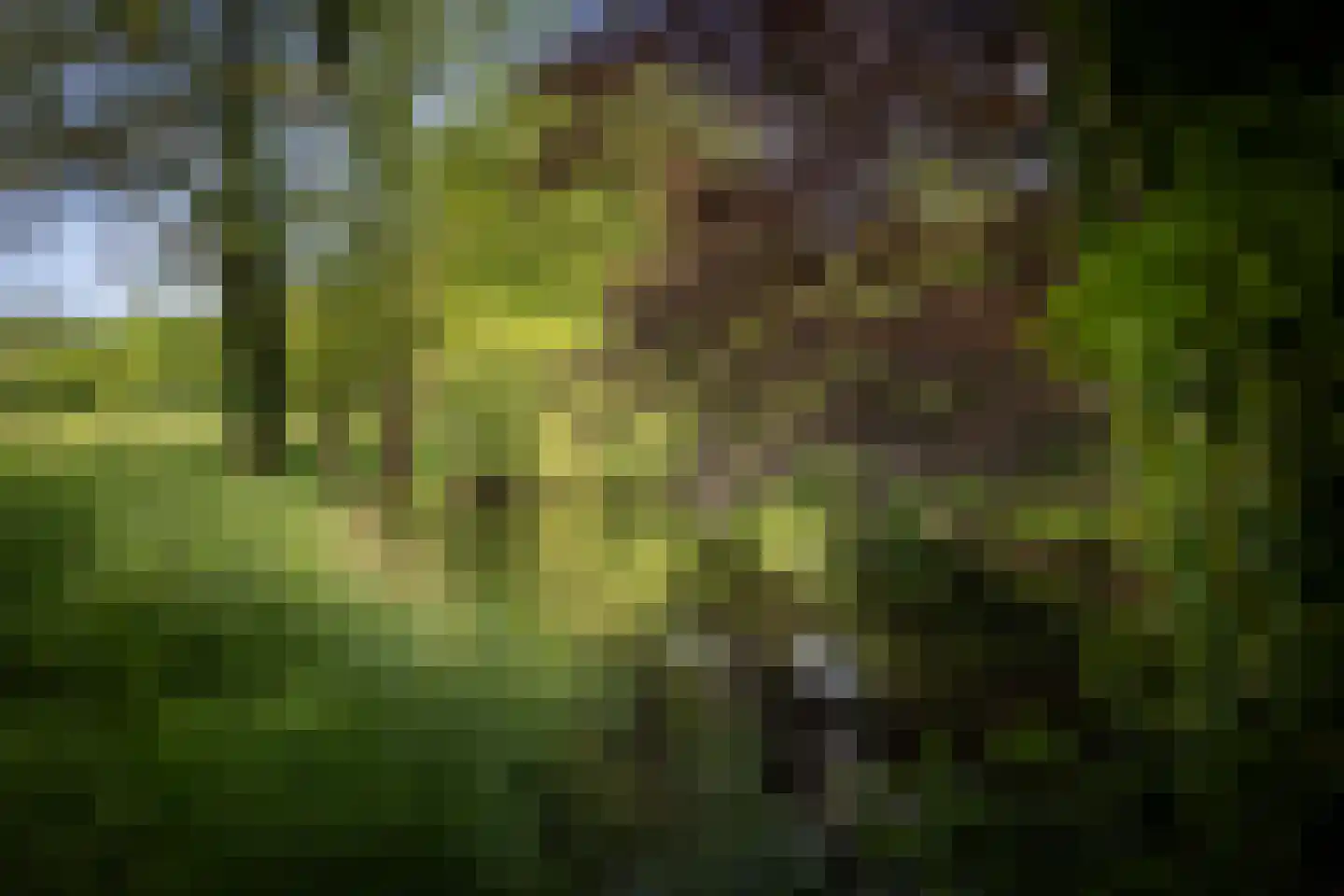 Sallandsweg 9 Diepenveen thumbnail 7