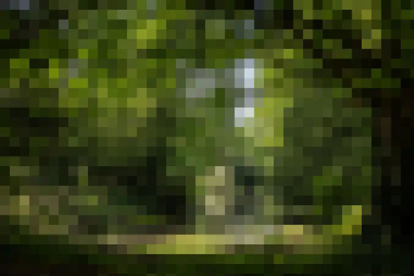 Sallandsweg 9 Diepenveen thumbnail 70