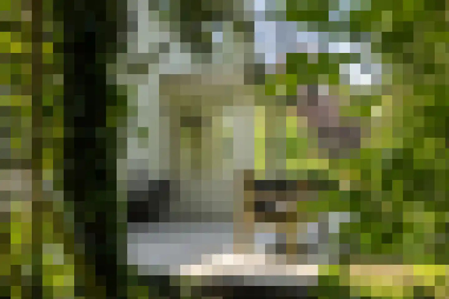 Sallandsweg 9 Diepenveen thumbnail 71