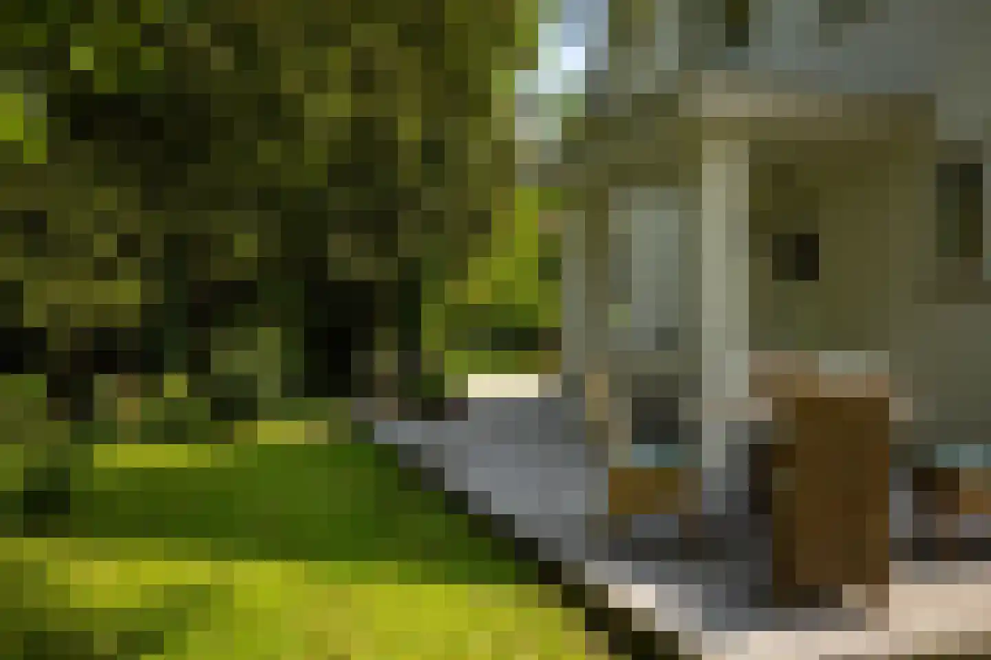 Sallandsweg 9 Diepenveen thumbnail 72