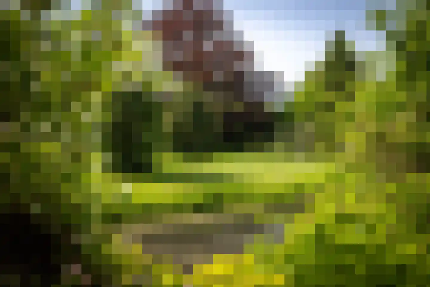 Sallandsweg 9 Diepenveen thumbnail 73