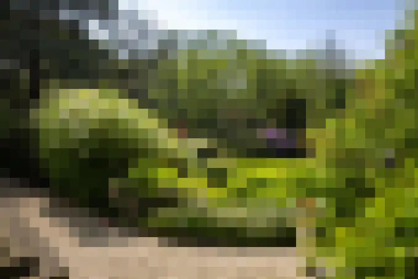 Sallandsweg 9 Diepenveen thumbnail 75