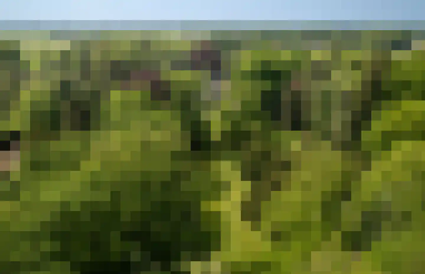 Sallandsweg 9 Diepenveen thumbnail 77