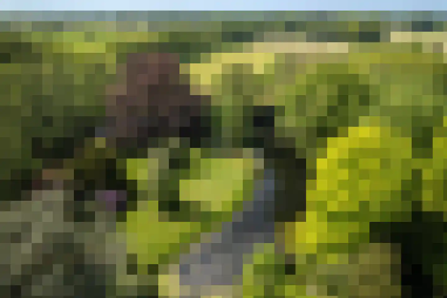 Sallandsweg 9 Diepenveen thumbnail 78