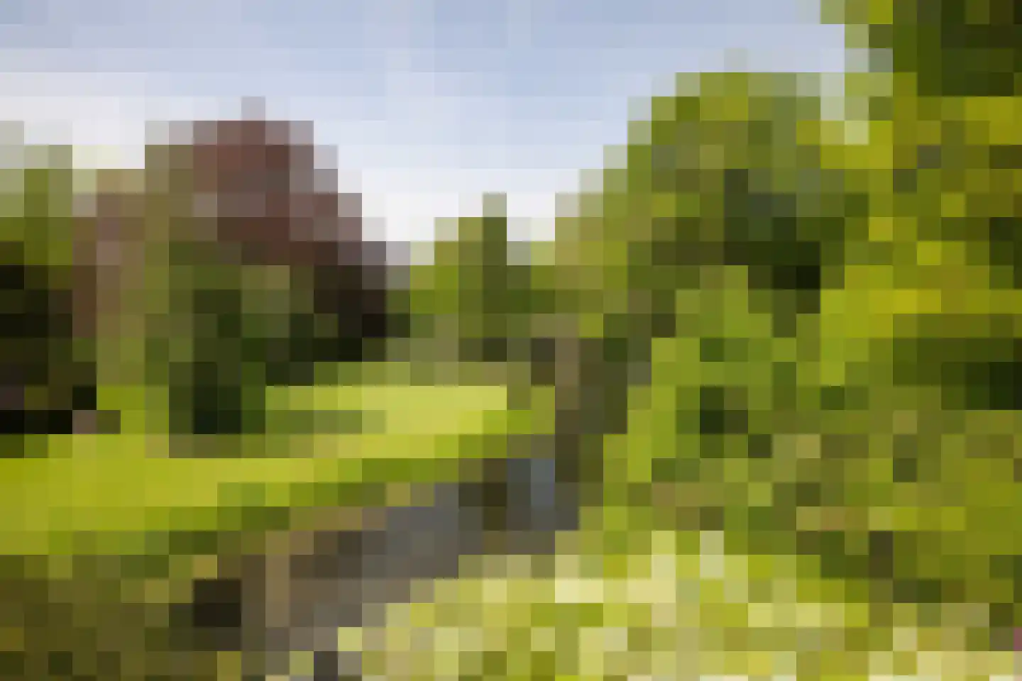 Sallandsweg 9 Diepenveen thumbnail 8