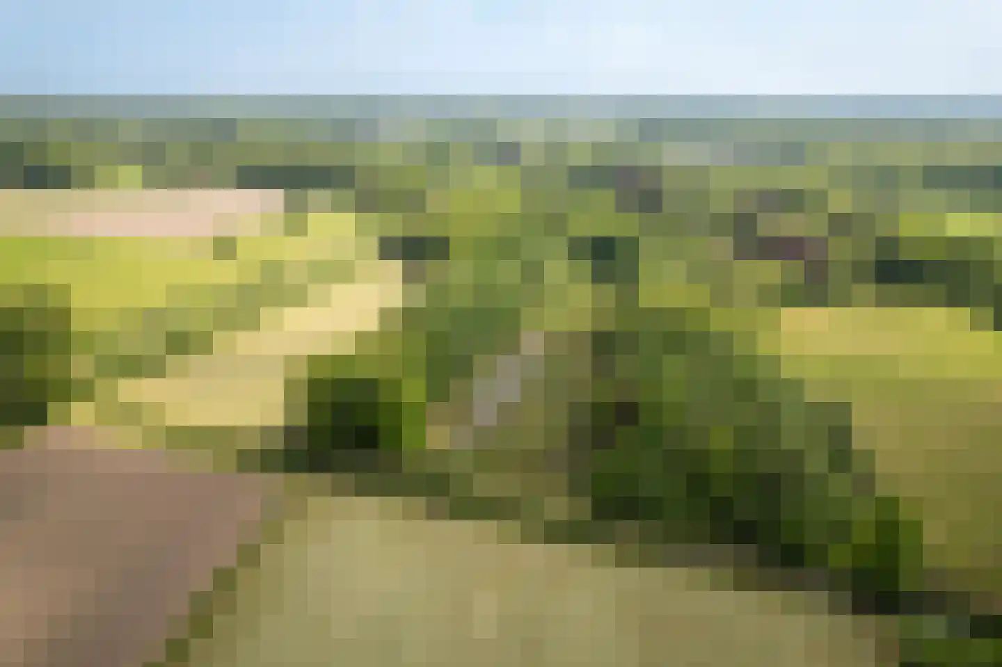 Sallandsweg 9 Diepenveen thumbnail 80
