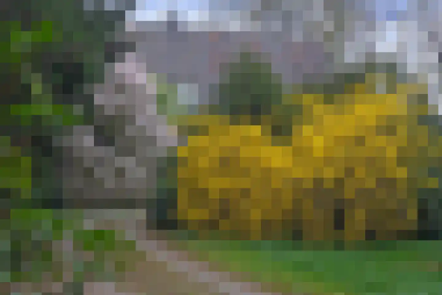 Sallandsweg 9 Diepenveen thumbnail 85