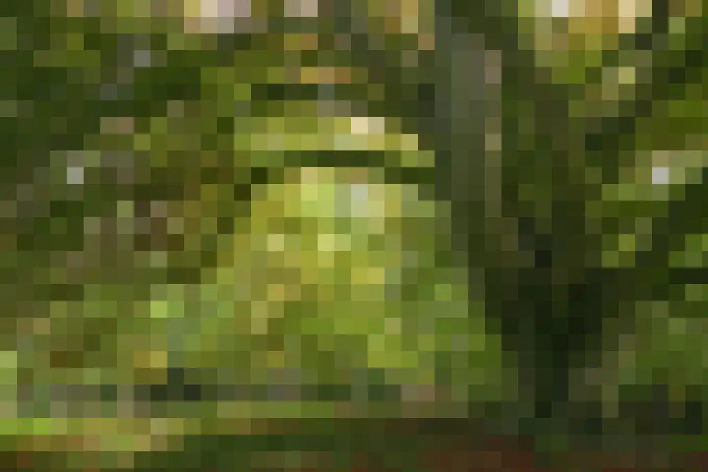 Sallandsweg 9 Diepenveen thumbnail 87