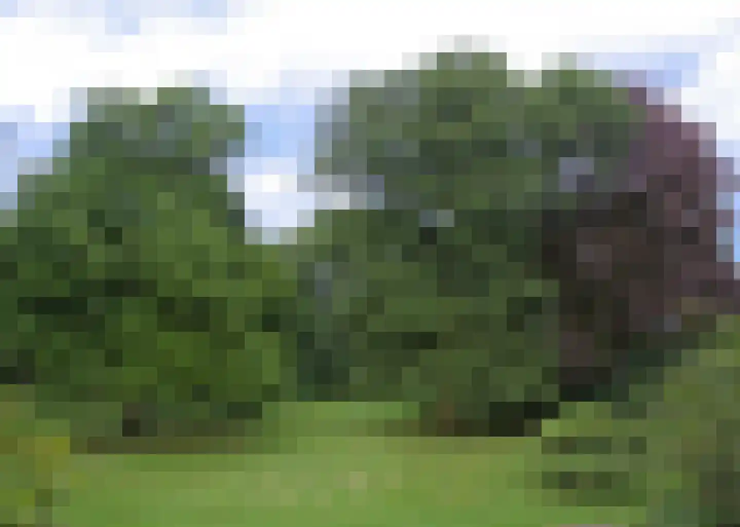Sallandsweg 9 Diepenveen thumbnail 88