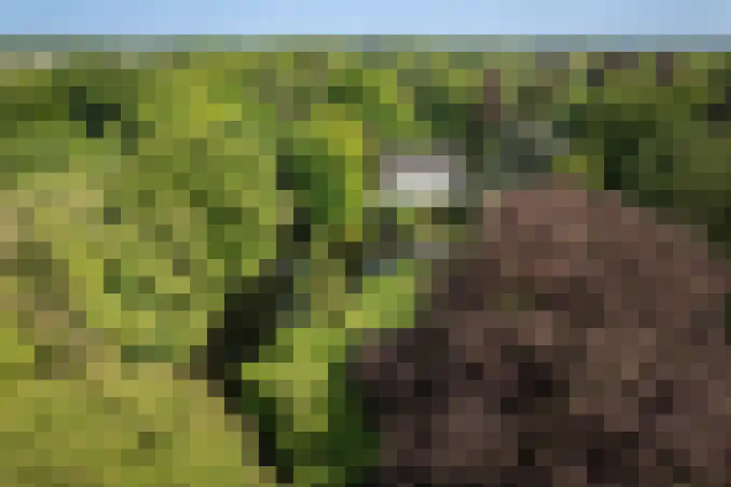 Sallandsweg 9 Diepenveen thumbnail 9