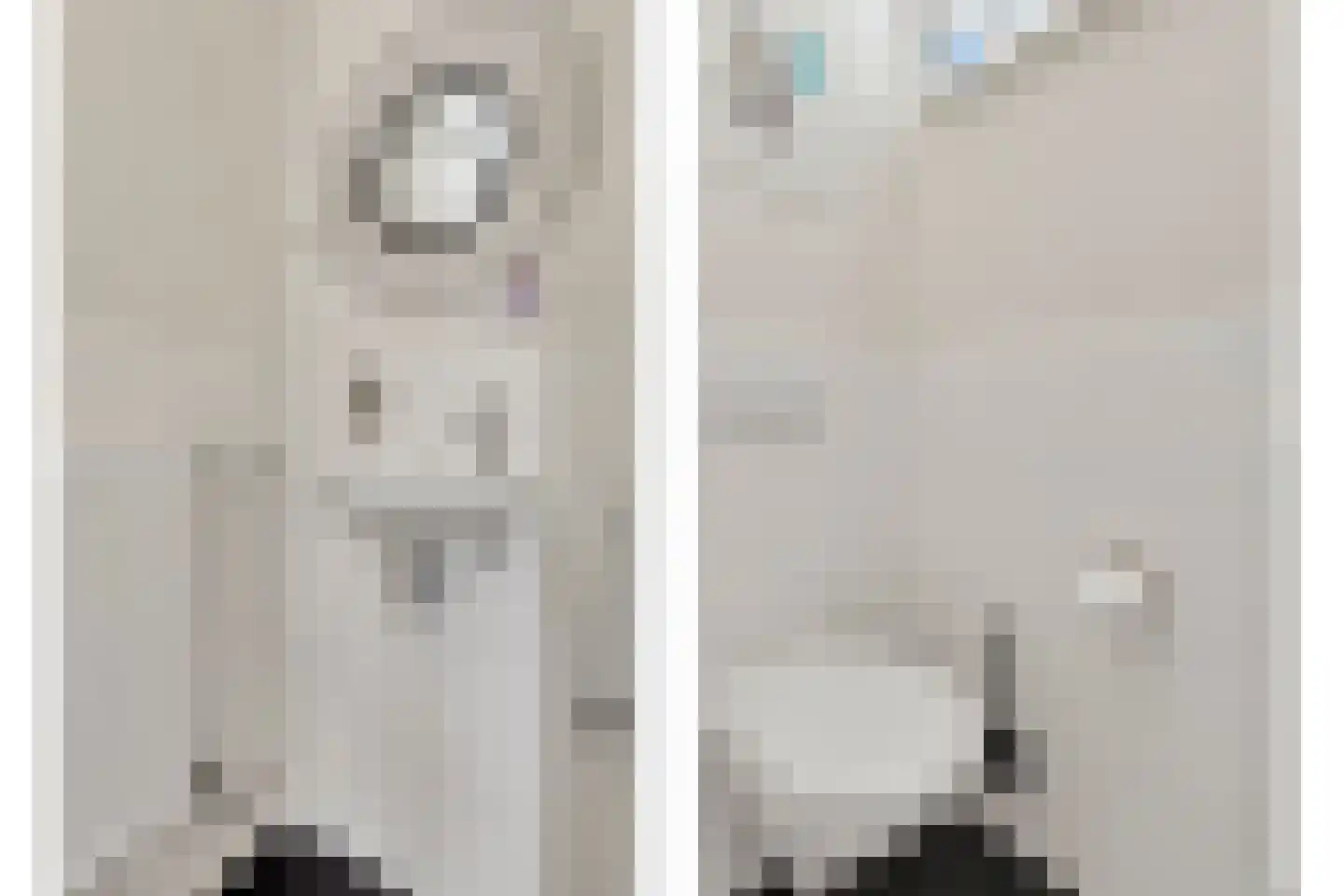 Sallustiuslaan 1 Eindhoven thumbnail 11