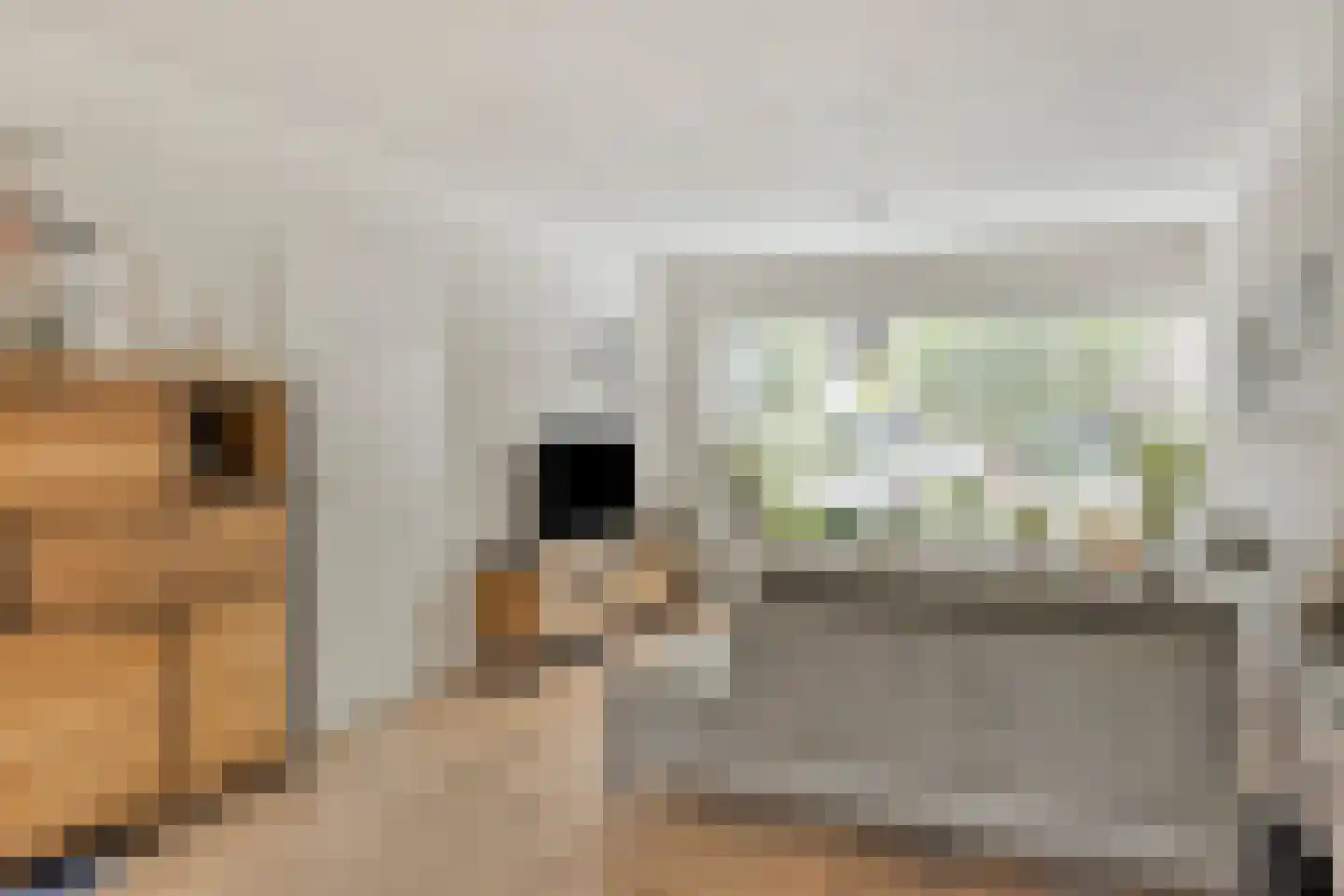 Sallustiuslaan 1 Eindhoven thumbnail 12