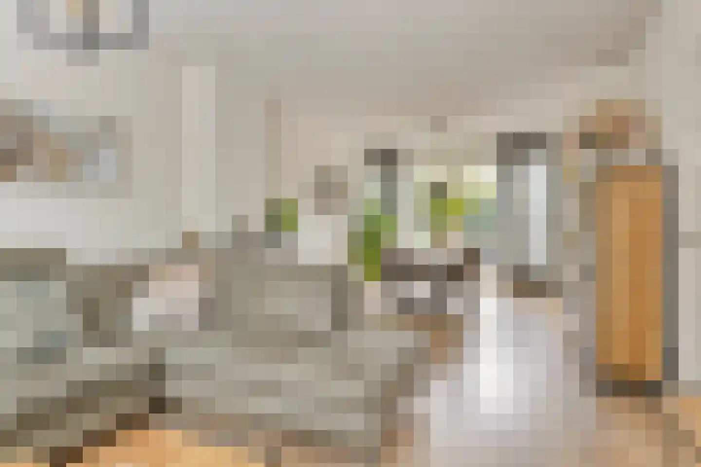 Sallustiuslaan 1 Eindhoven thumbnail 13