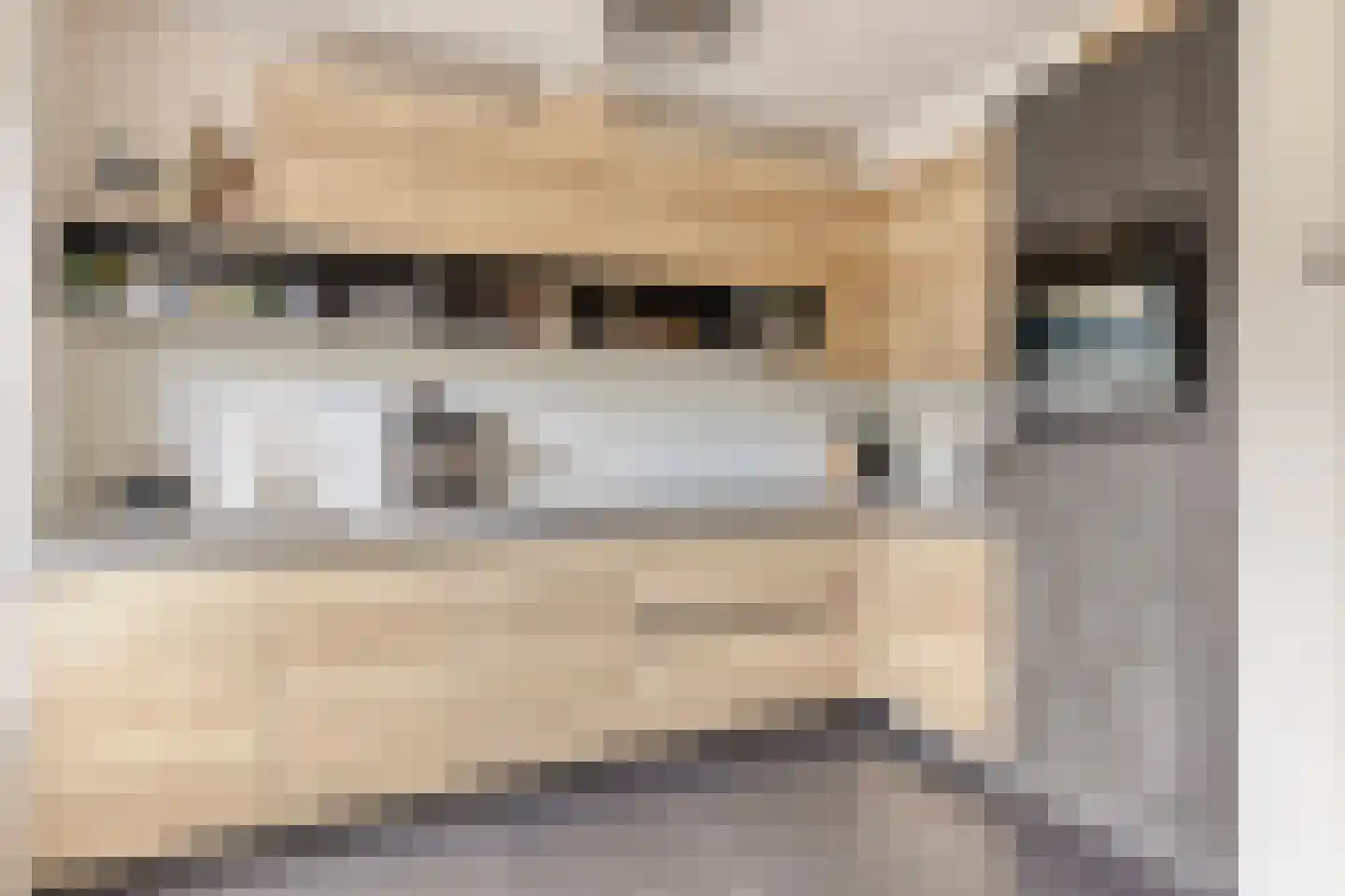 Sallustiuslaan 1 Eindhoven thumbnail 19