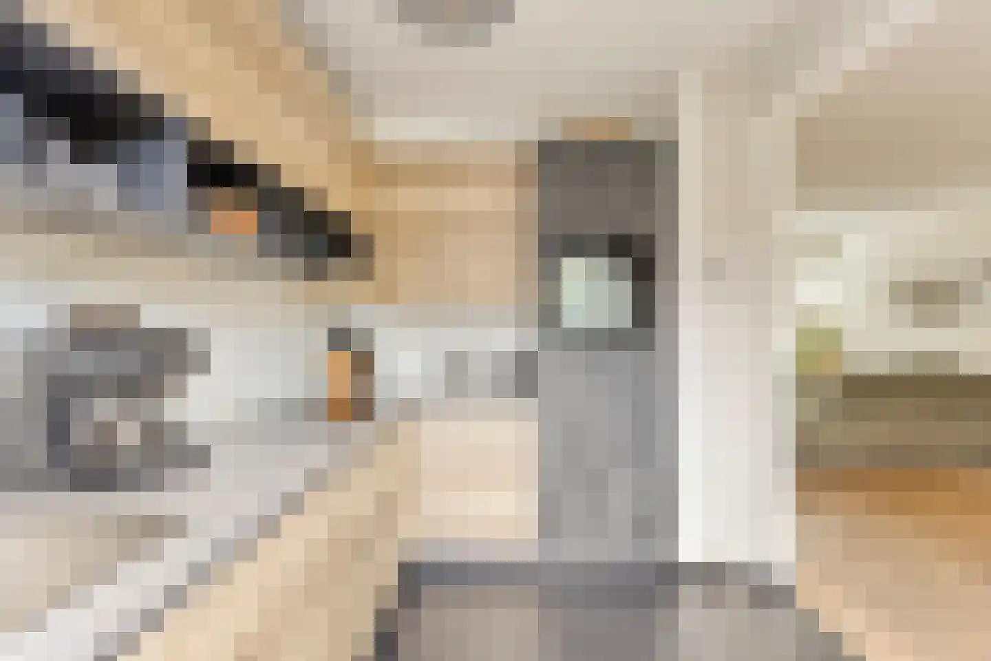 Sallustiuslaan 1 Eindhoven thumbnail 20