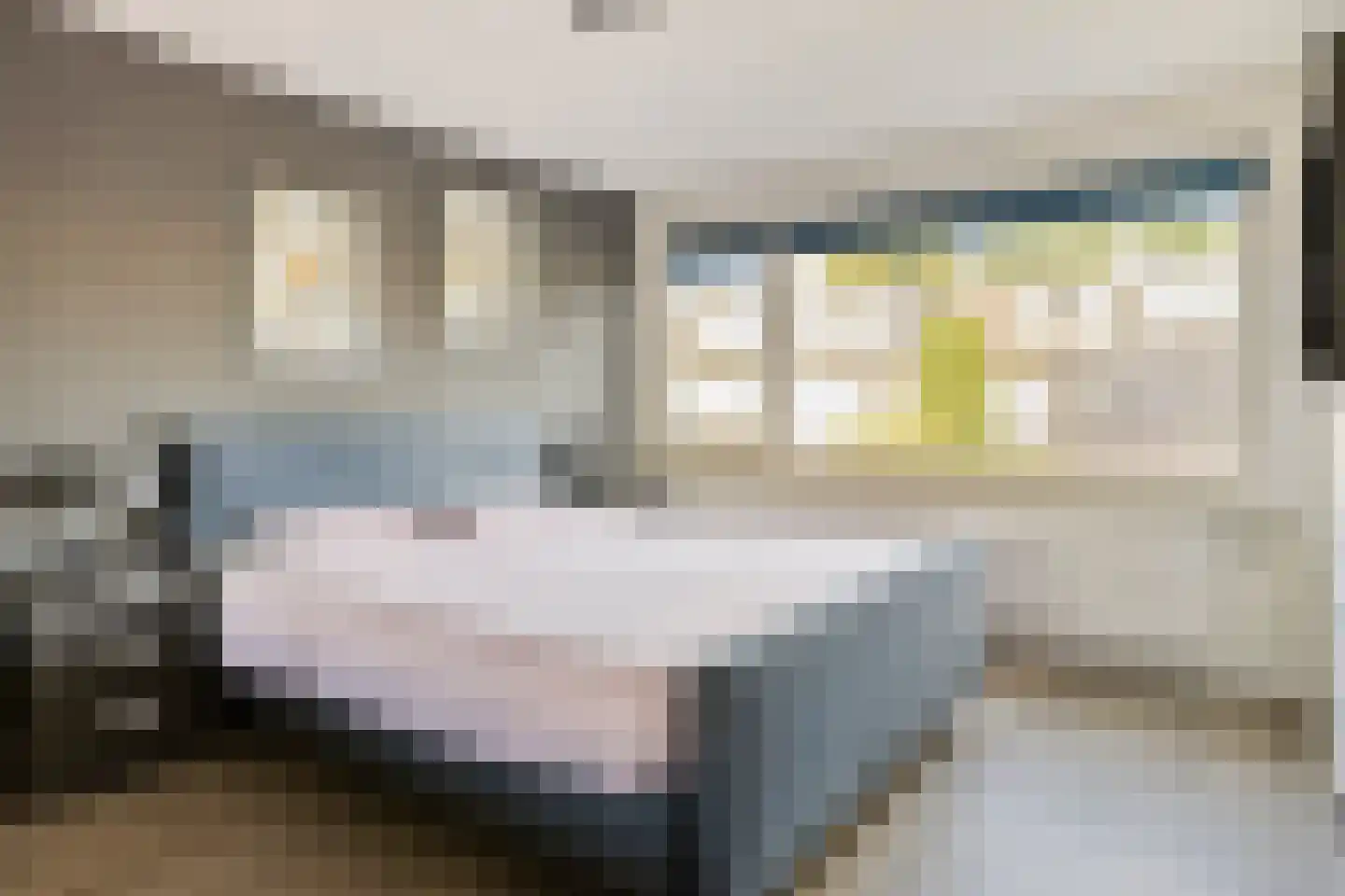 Sallustiuslaan 1 Eindhoven thumbnail 23
