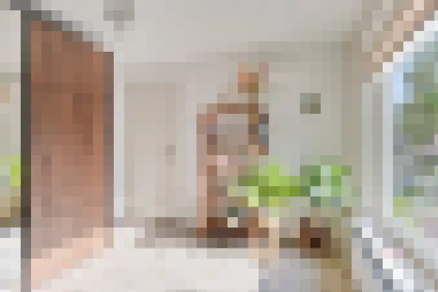Sallustiuslaan 1 Eindhoven thumbnail 26