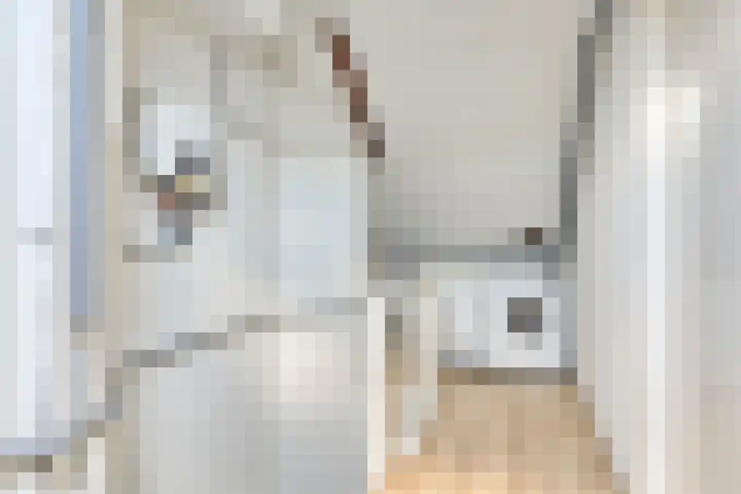Sallustiuslaan 1 Eindhoven thumbnail 31