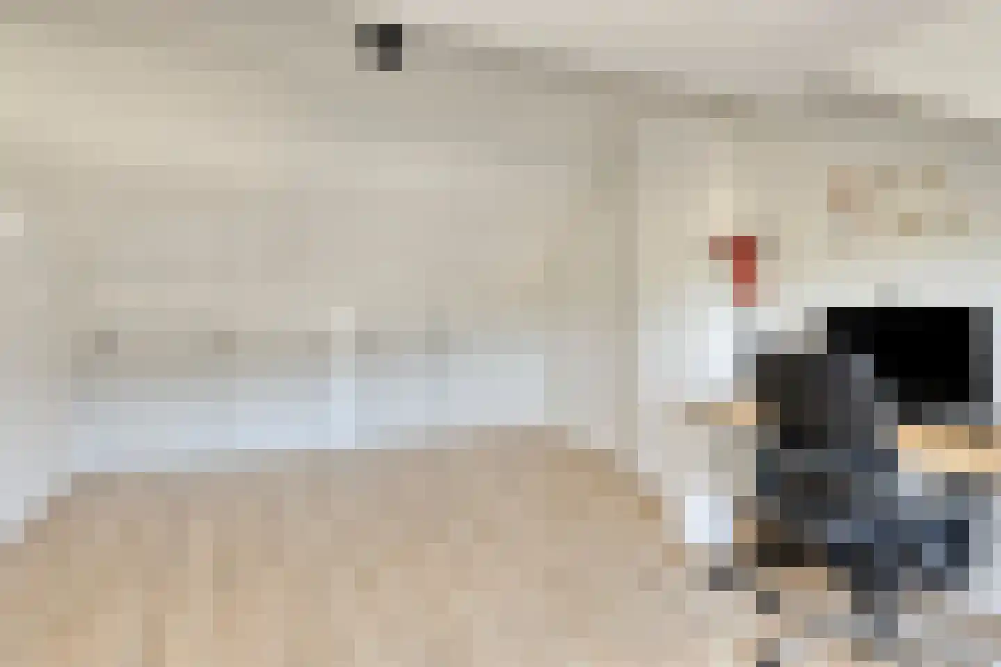 Sallustiuslaan 1 Eindhoven thumbnail 34