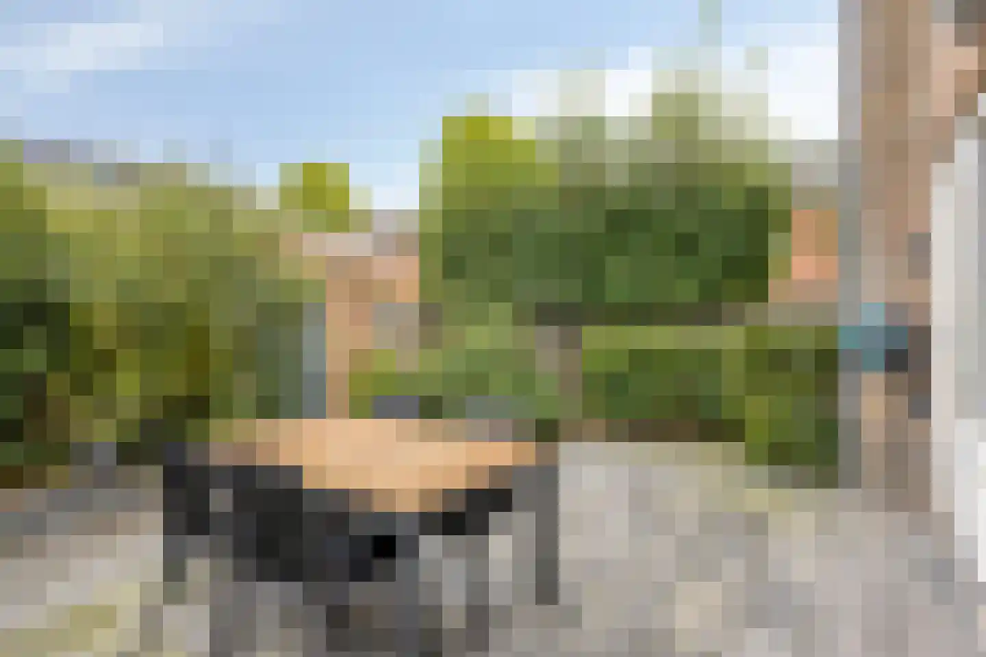Sallustiuslaan 1 Eindhoven thumbnail 35