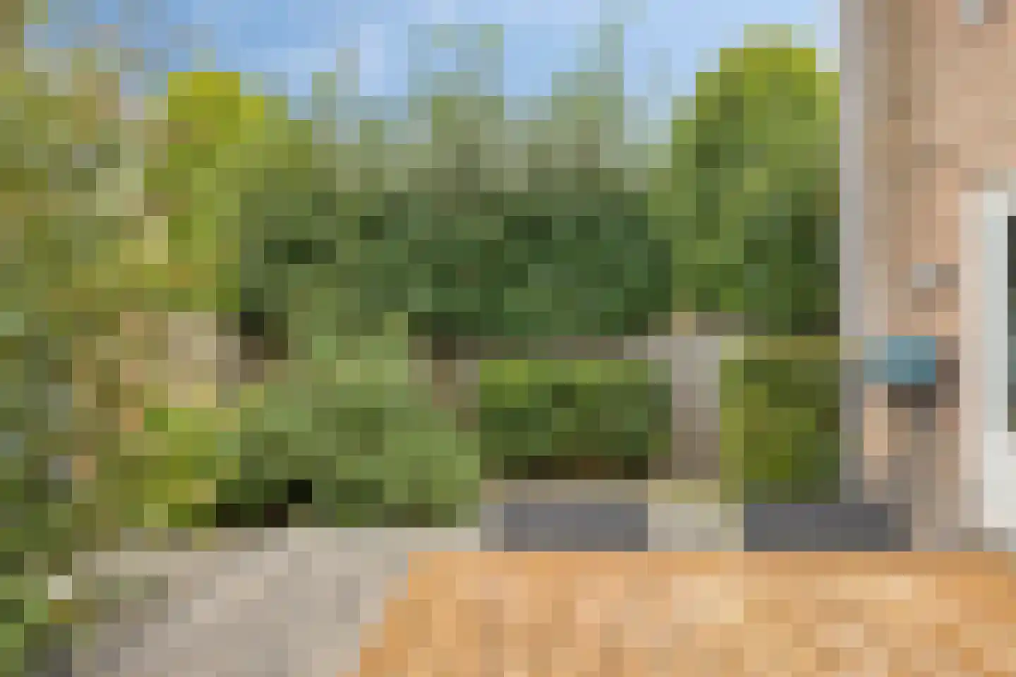 Sallustiuslaan 1 Eindhoven thumbnail 6