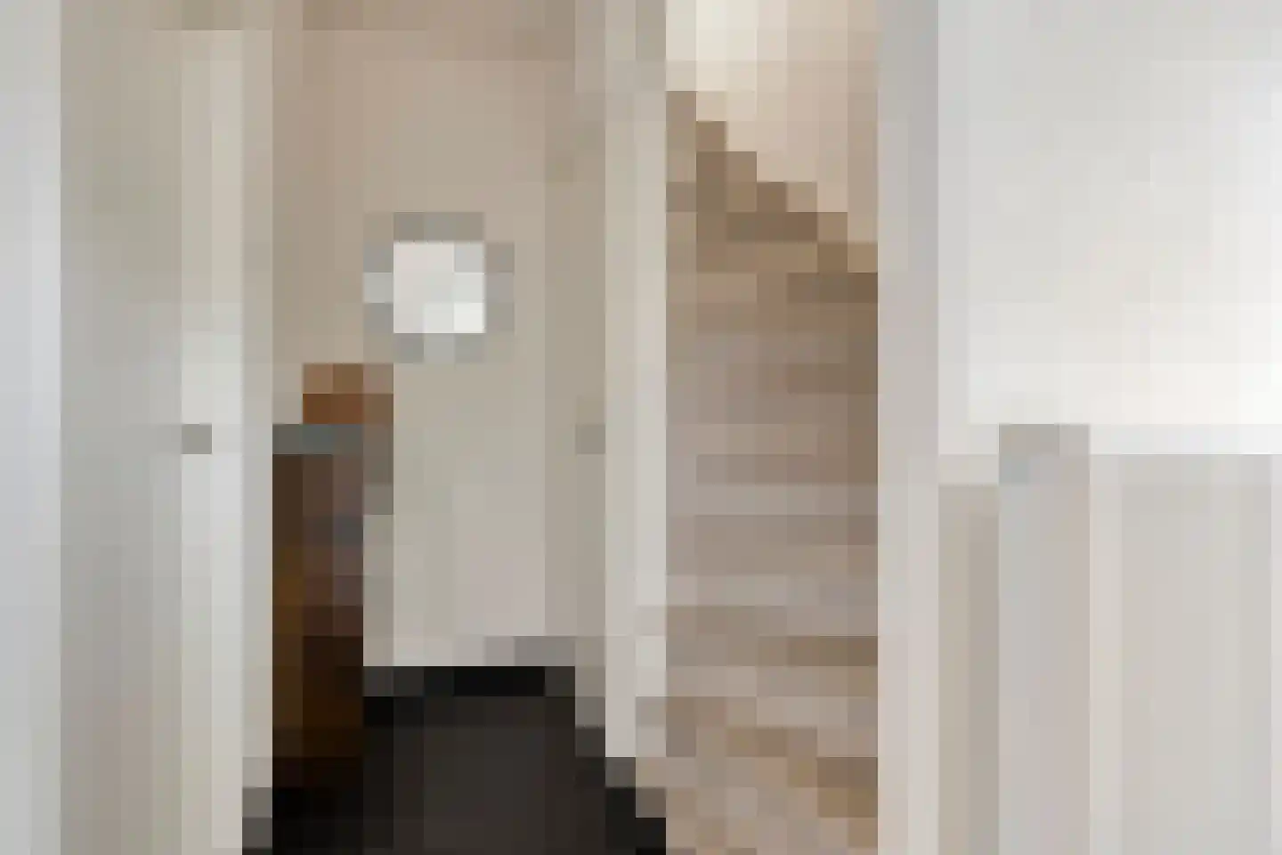 Sallustiuslaan 1 Eindhoven thumbnail 8