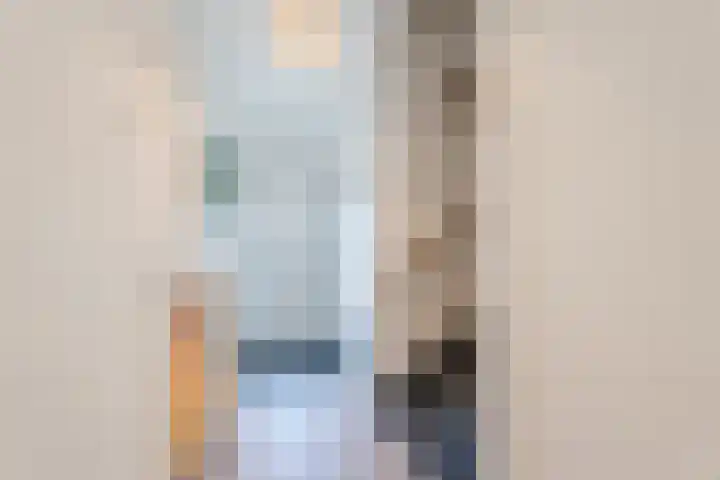 Salmstraat 26 Uden thumbnail 8