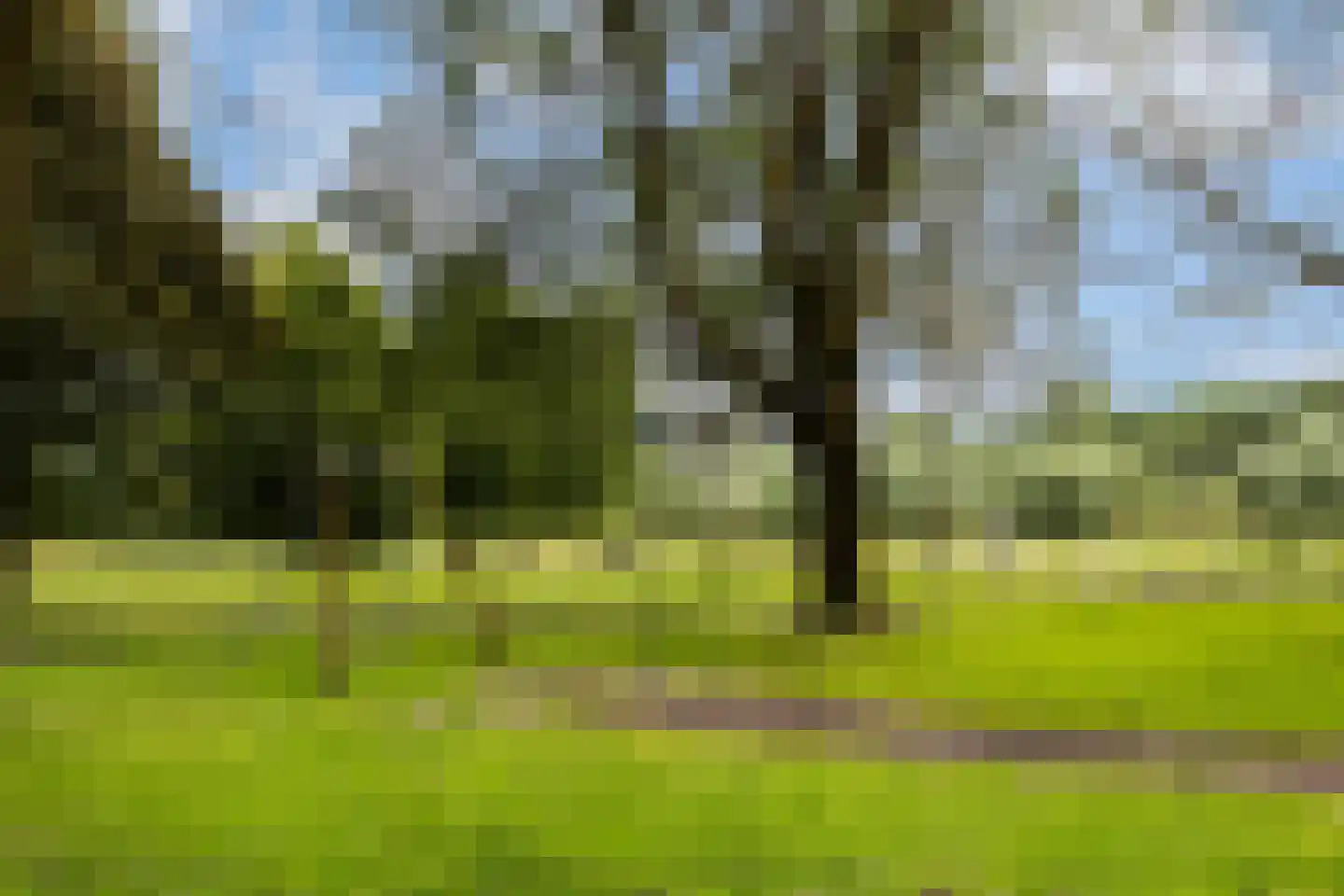 Salomedreef 3 Utrecht thumbnail 24