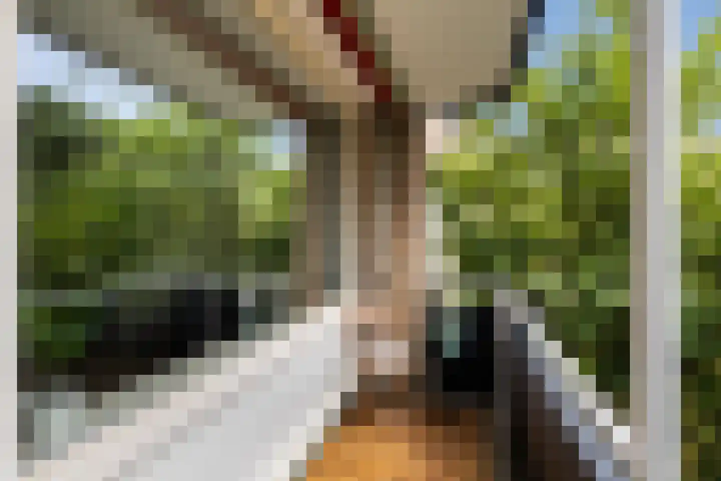Salomedreef 3 Utrecht thumbnail 5