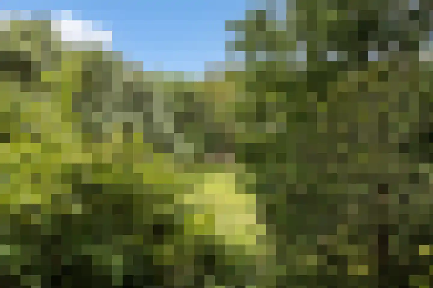 Salomedreef 3 Utrecht thumbnail 7