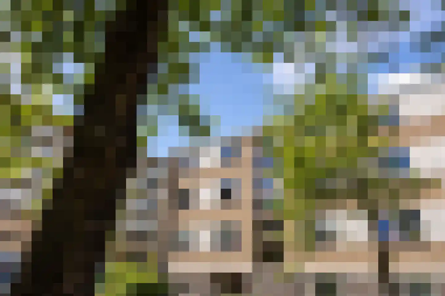 Salomedreef 35 Utrecht thumbnail 5