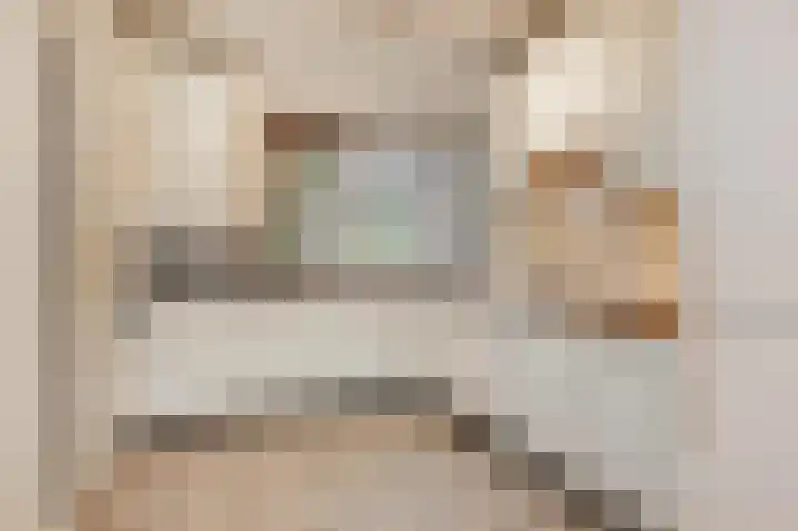 Saloméschouw 113 Zoetermeer thumbnail 10