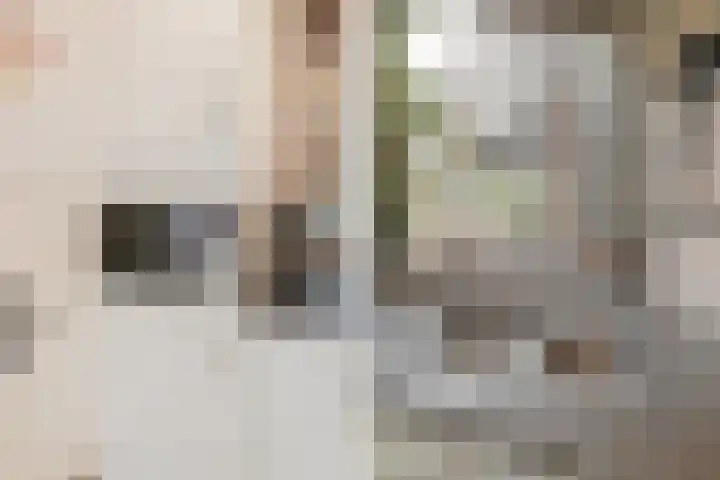 Saloméschouw 113 Zoetermeer thumbnail 11