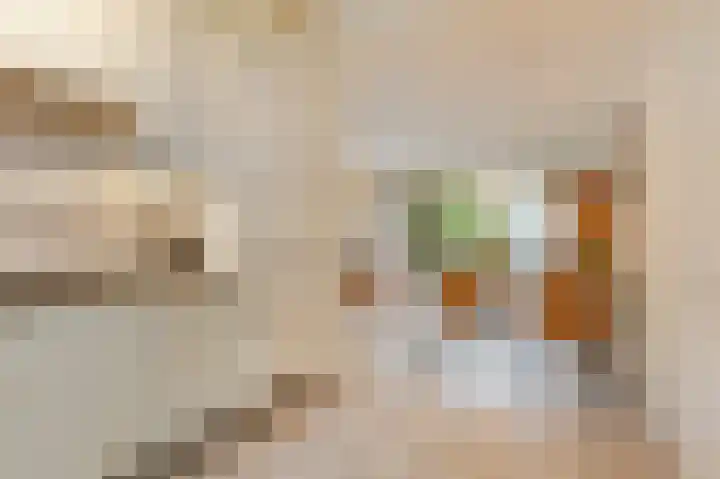 Saloméschouw 113 Zoetermeer thumbnail 12